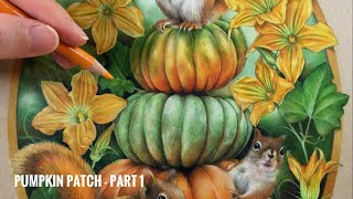 : Step by Step Coloring: Pumpkin Patch - Part 1 // Chris Cheng