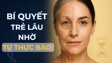 Giải Mã Tự Thực Bào – Cơ Chế Chống Lão Hóa Tự Nhiên Của Cơ Thể