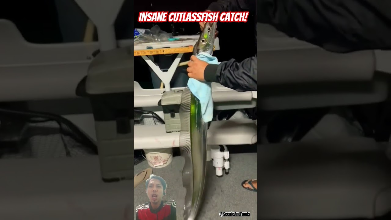 Unreal Catch! GIANT Cutlassfish Pulled from the Deep!