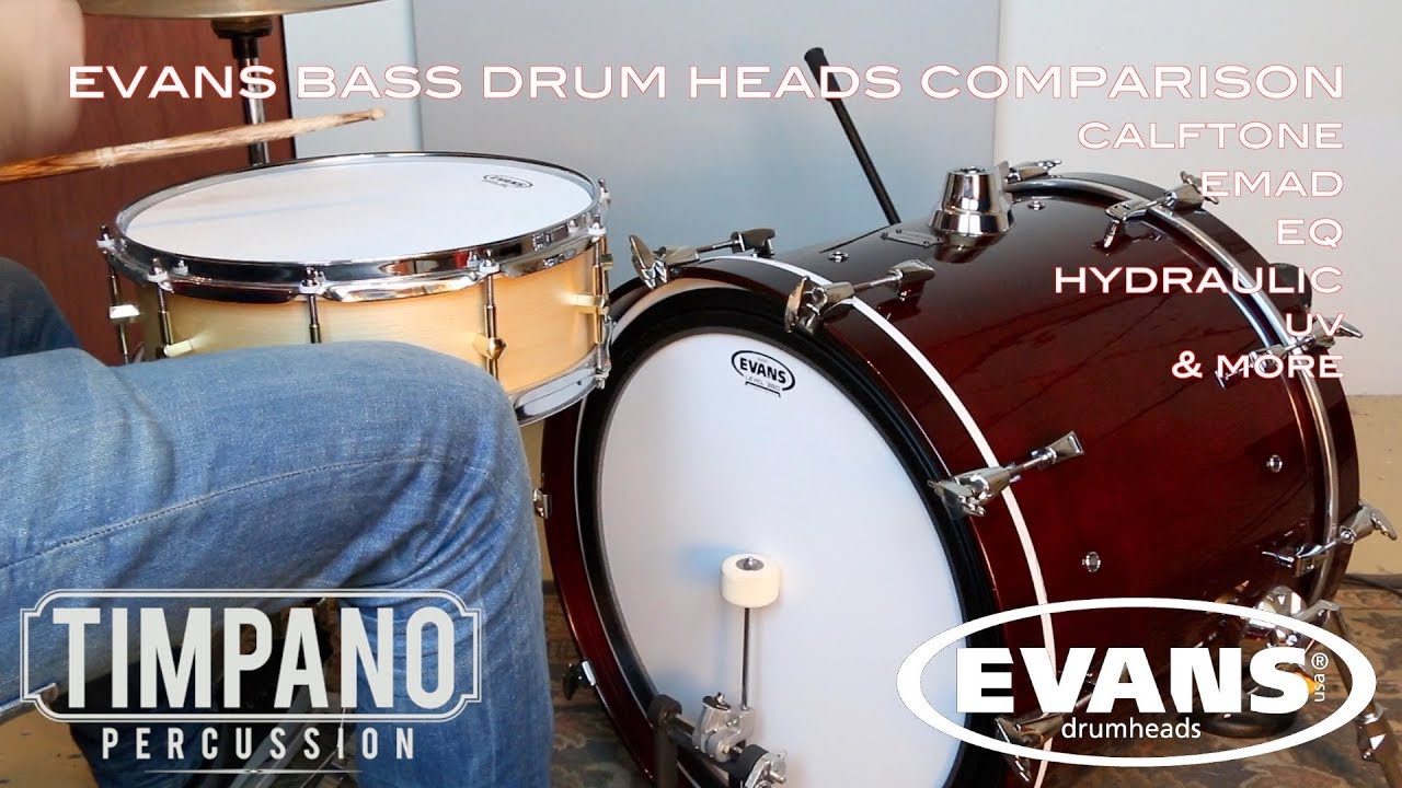 evans drum set