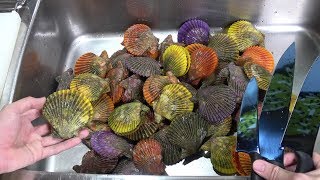 大量のカラフル過ぎる貝を爆買い。なんだこれ？ただ、味が半端じゃない。Colorful shellfish