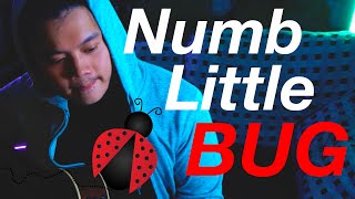 Em Beihold - Numb Little Bug - Yiperman Acoustic Cover