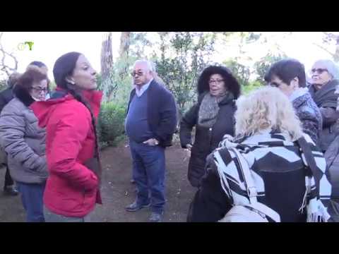 Acção Social | Passeio a Sintra - Junta de Freguesia de Campolide