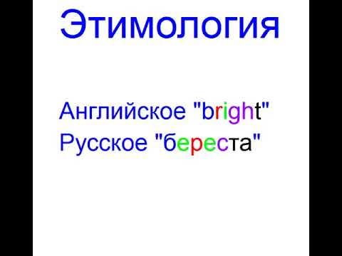 брод этимология. брод слова. вечер бродит текст. песня вечер бродит текст. вечер бродит по лесным дорожкам слова.
