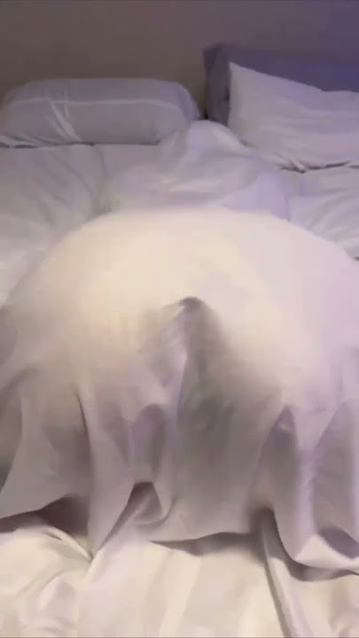 Ooh shit #twerking