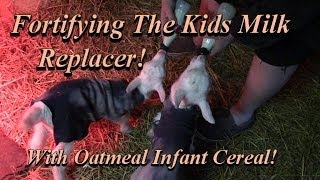 Homestead Tip! Fortifying Milk Goat Kid Replacer!