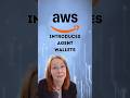The Hidden Risk of AWS AI Wallets