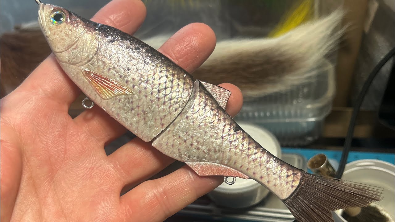 Осенняя рыбалка на щуку. Эта приманка стала лидером в рейтинге кловистых! #fishing #pike #swimbait 