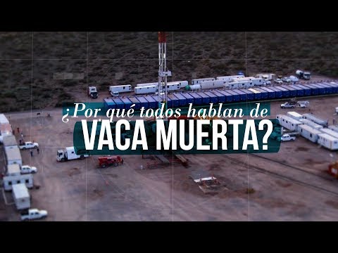 ¿Por qué es tan importante Vaca Muerta ?