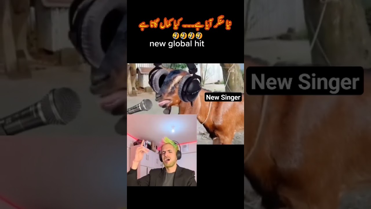 Funny & New Singer Video People's Happy Life #3 😂 Try Not To Laugh Funny Videos 2024