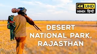 EP 01 Desert National Park, Rajasthan 2023  Great Indian Bustard 4K Video Hindi | हिन्दी