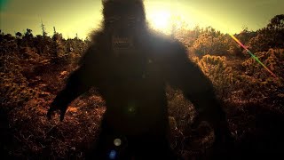 HORROR NIGHT A caccia di GROSSI PIEDI - Bigfoot PT1
