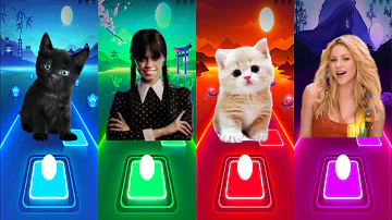 CUTE CAT LADY GAGA BLOODY MARY vs WEDNESDAY and WAKA WAKA COOL CAT and SHAKIRA in TILES HOP EDM RUSH