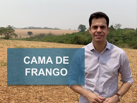 Vídeo: Como construir um golpe de frango móvel ou trator de frango