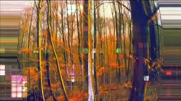 PENTA - Computer Technology