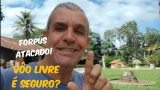 Voo Livre Com Aves É Seguro?