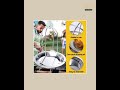 Grill Stand Carbon Steel Chicken &amp; Turkey Roaster Rack BBQ Grill Stand with Bowl