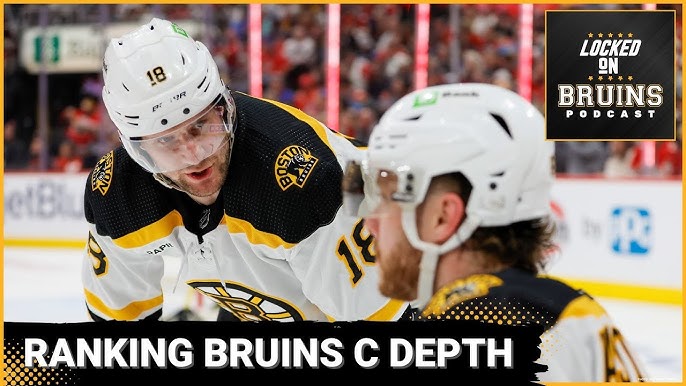 Pin by Buoy on Luck of the Irish  Boston bruins, Bruins hockey