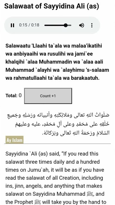 Salawat of Sayyidunna Ali r.a Recited By Naqshbandi Tariqa Sheikh Hisham Kabbani ق Nur Muhammed app