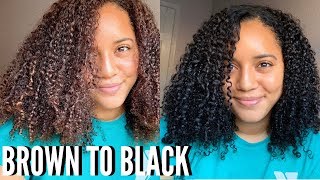 coloring my curly hair JET BLACK: Clairol natural instincts, no damage!