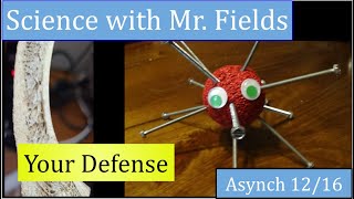 Your Defense 12/16 Asynchronous School