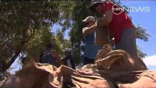 The Battle Of Boga