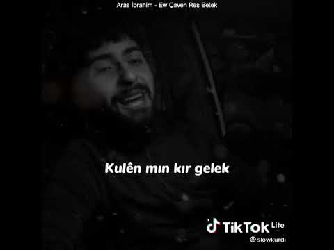 aras ibrahim ew caven res belek turkce sozleri