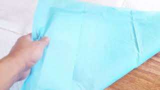 We Tried The XXL Pee Pad For Our Dogs!