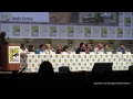 The Hobbit: The Battle of the Five Armies  panel, SDCC 2014