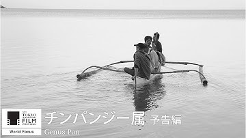 『チンパンジー属』予告｜Genus Pan - Trailer｜第33回東京国際映画祭 33rd Tokyo International Film Festival