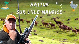 Big game hunting in Mauritius: An exhilarating adventure in the territory of Bel Ombre 1