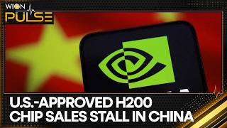 U.S.-Approved H200 Chip Sales Stall In China Amid Nvidia Trade Tensions | WION Pulse