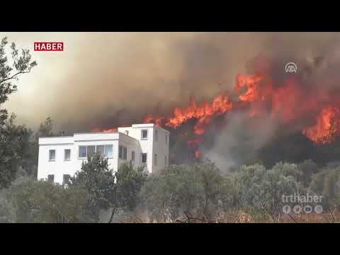 Bodrum'da otluk ve makilik alanda yangın