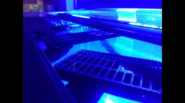 H2Overflows from Custom Aquariums