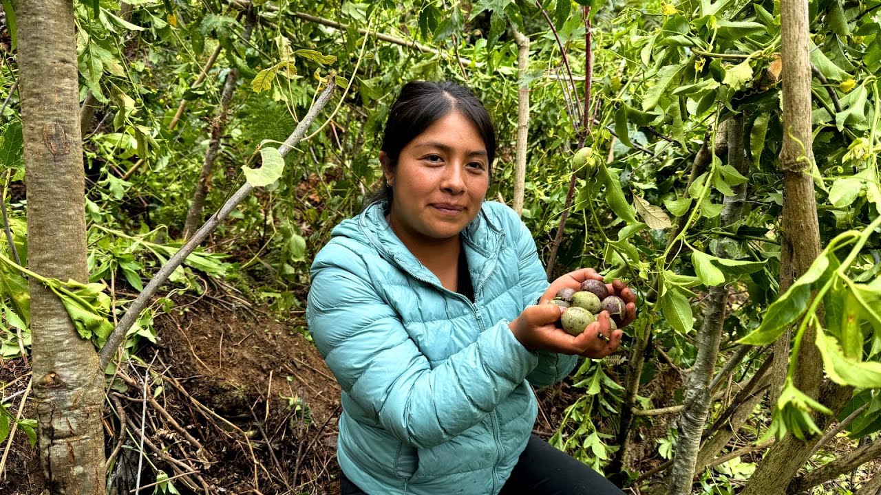 Cómo y de dónde obtengo mis frutas para preparar agua fresca en mis recetas