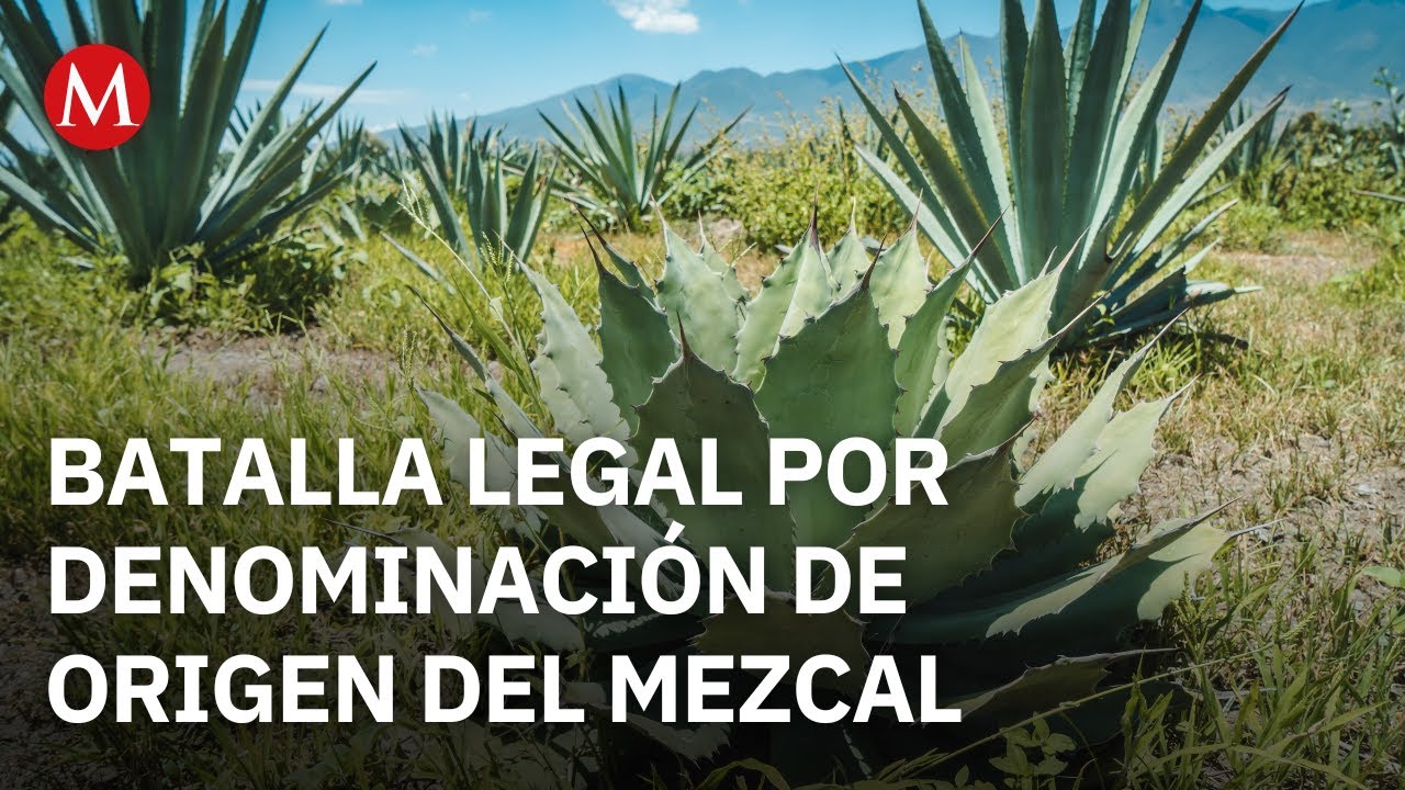 Oaxaca acude a la Corte para defender la legitimidad del mezcal