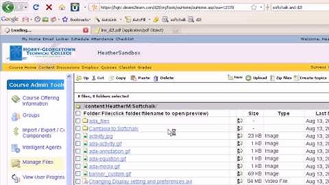 How to put Softchalk into D2L
