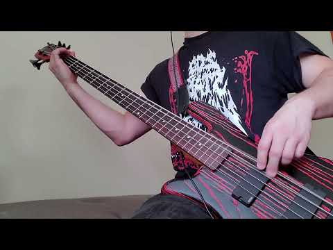Dying Fetus - Kill Your Mother/Rape Your Dog | Bass Cover