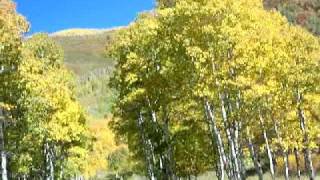 Fall Colors on the Alpine Loop