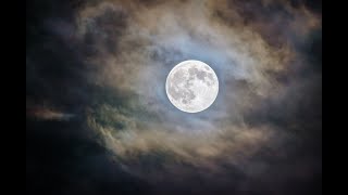 Video thumbnail of "Beethoven - Moonlight Sonata [4K]"