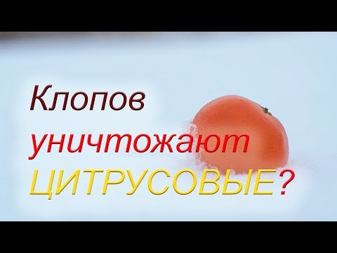 YouTube видео