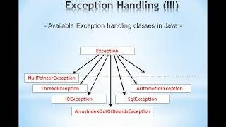 Celebrity Learn Java Programming in English for Beginners(Exception Handling) - Part 9 Net Worth