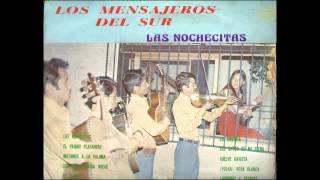 Los Mensajeros del Sur: El rebozo de mi madre (HD)