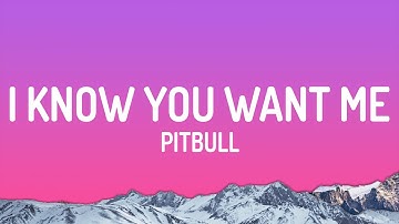 Pitbull - I Know You Want Me (Calle Ocho)