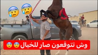 فعاليات السيسي😂😂😂😂+ثقة الخيال بحصانه😍😍