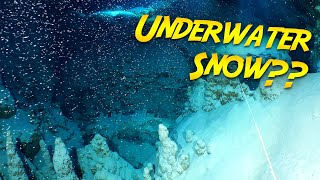 Exploring a SNOWY Underwater Cave in Belize!