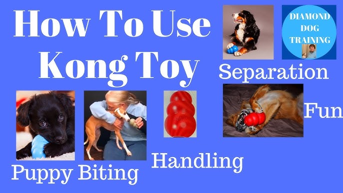 Kong Puppy vs Classic Puppy