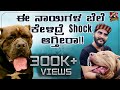 Biggest dog show of bangalore 2023  kannada vlogs  niranjan deshpande