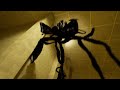 backrooms escape together isnt even that scary