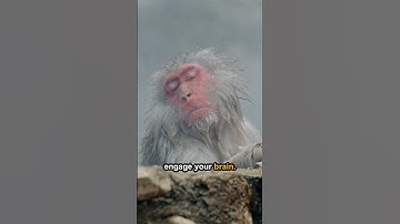 What is a nonogram??